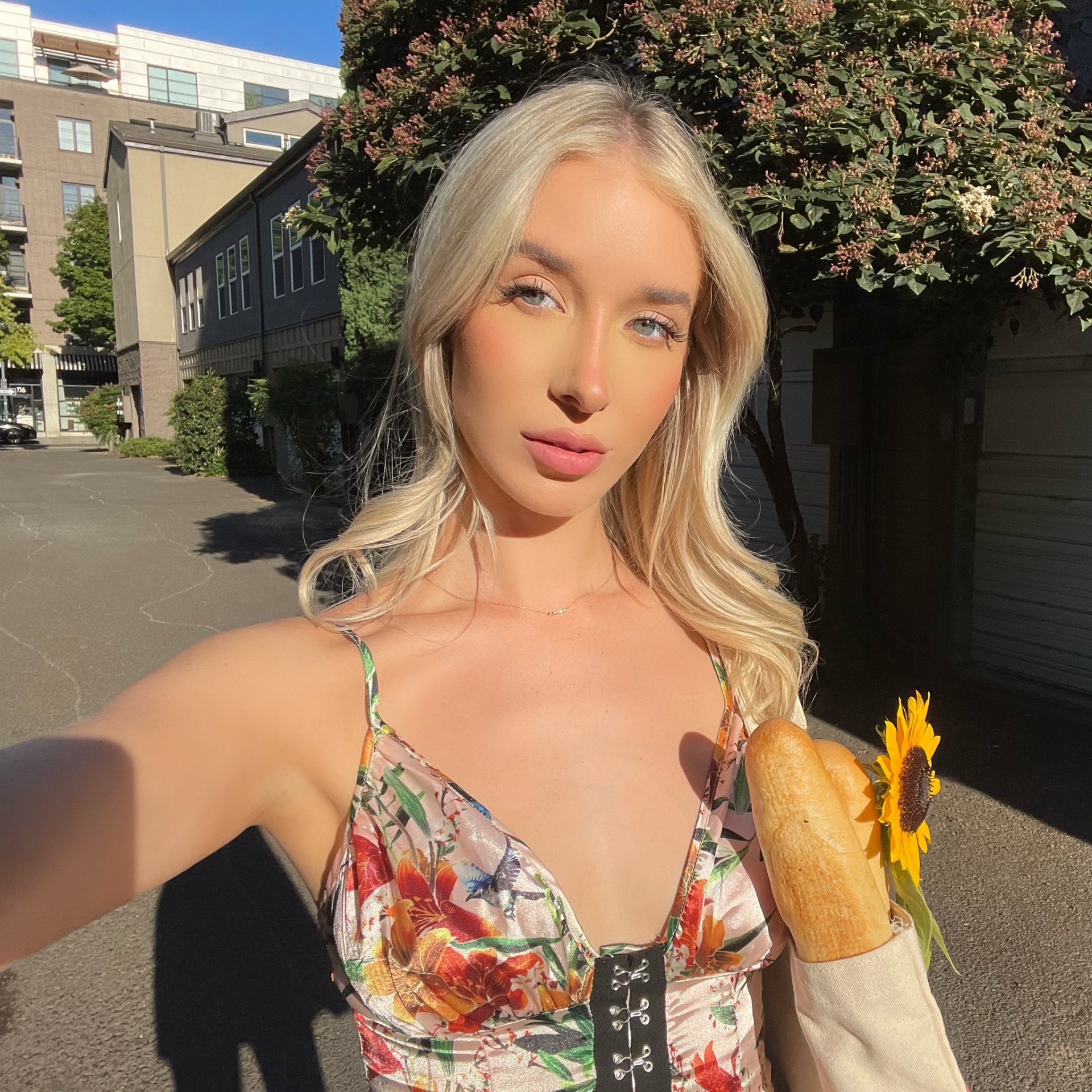 petitDutoit de Nord, France